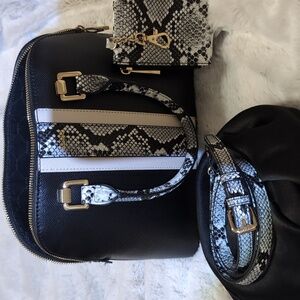 Aldo Black Crossbody Satchel Handbag With Snakeskin Trim And Coin Purse